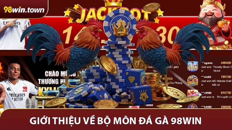 Giới thiệu tổng quát về bộ môn đá gà 98win