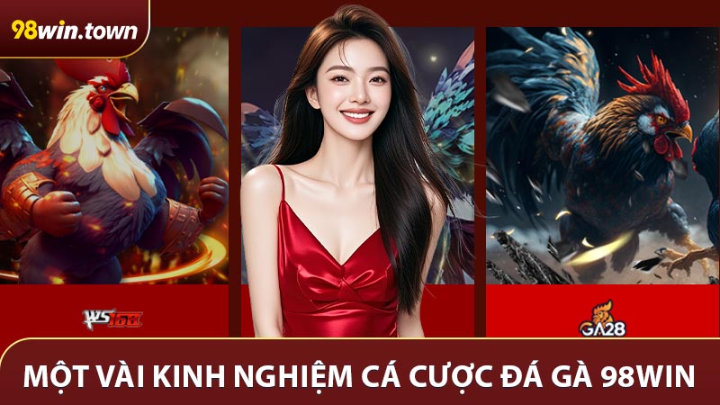 Một vài kinh nghiệm cá cược đá gà 98win từ giới dân chơi